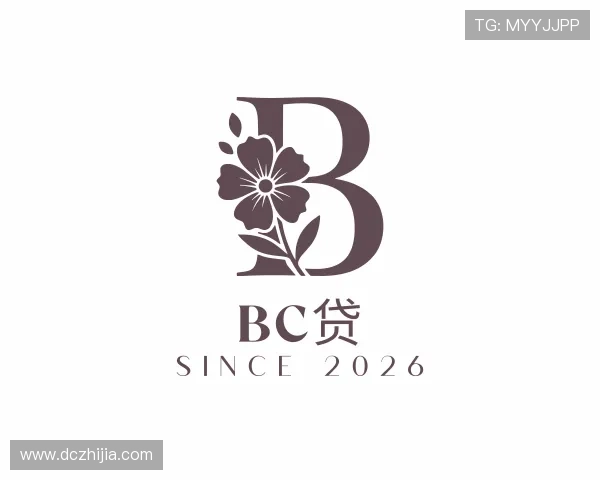 认识bc贷